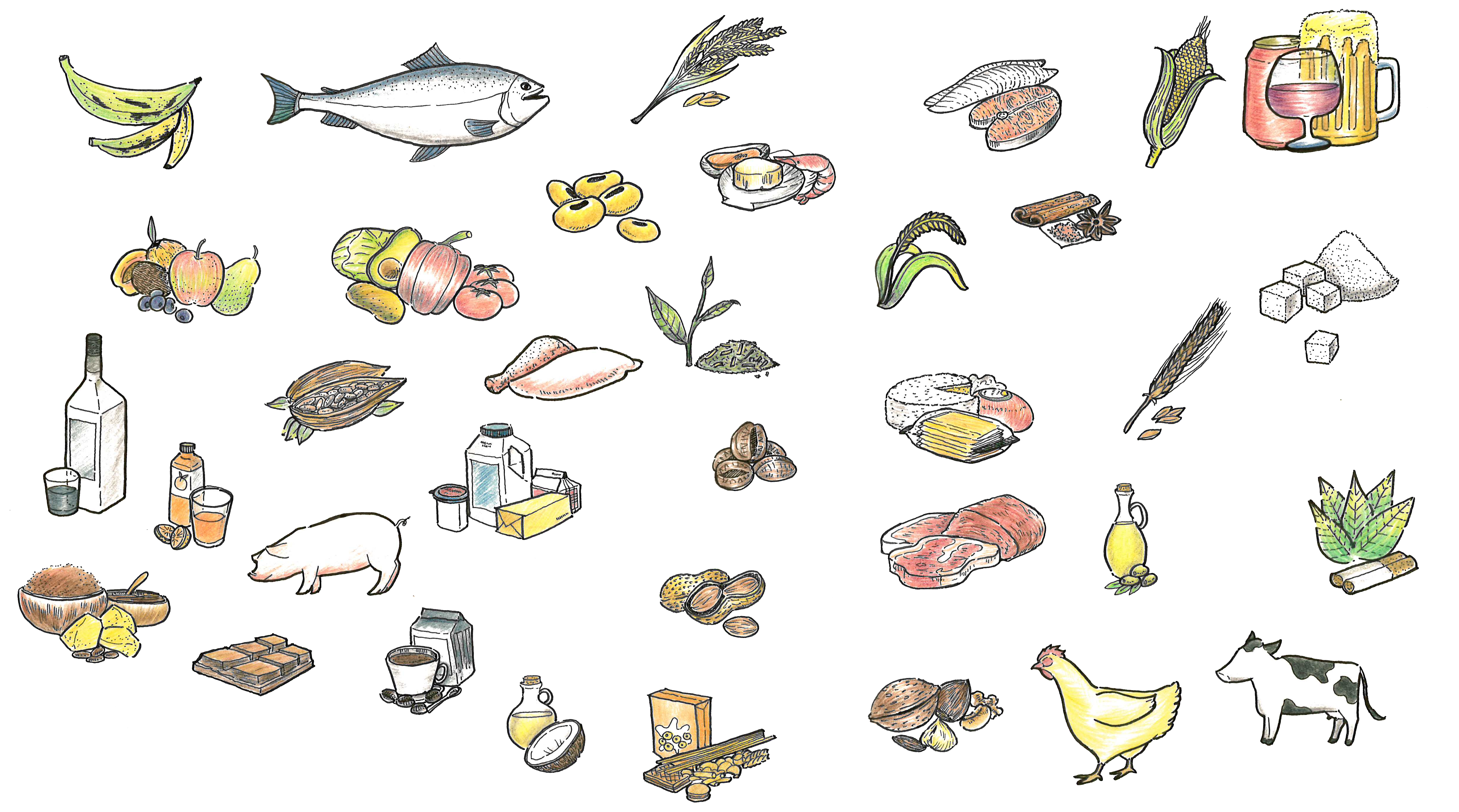 phillip-duran_20161130_112930-3